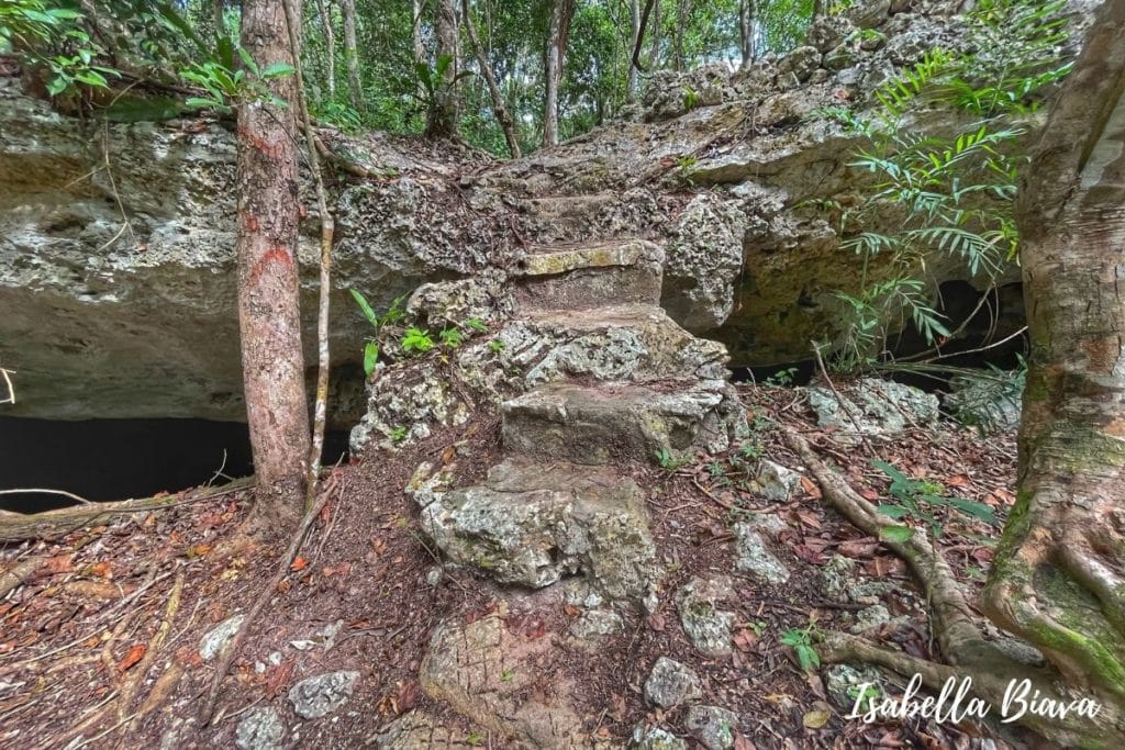 Cenote Isla Alamos  stairs