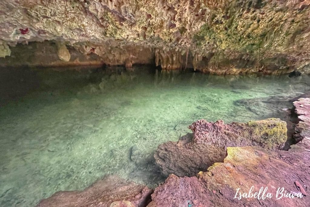 Cenote Isla Alamos 