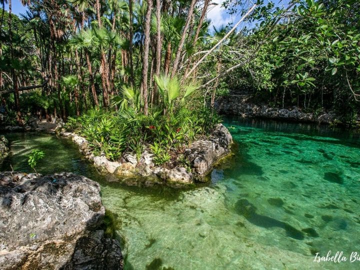 Cenote Yax Kin with an island in the middle