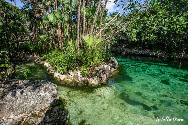 Cenote Yax Kin with an island in the middle
