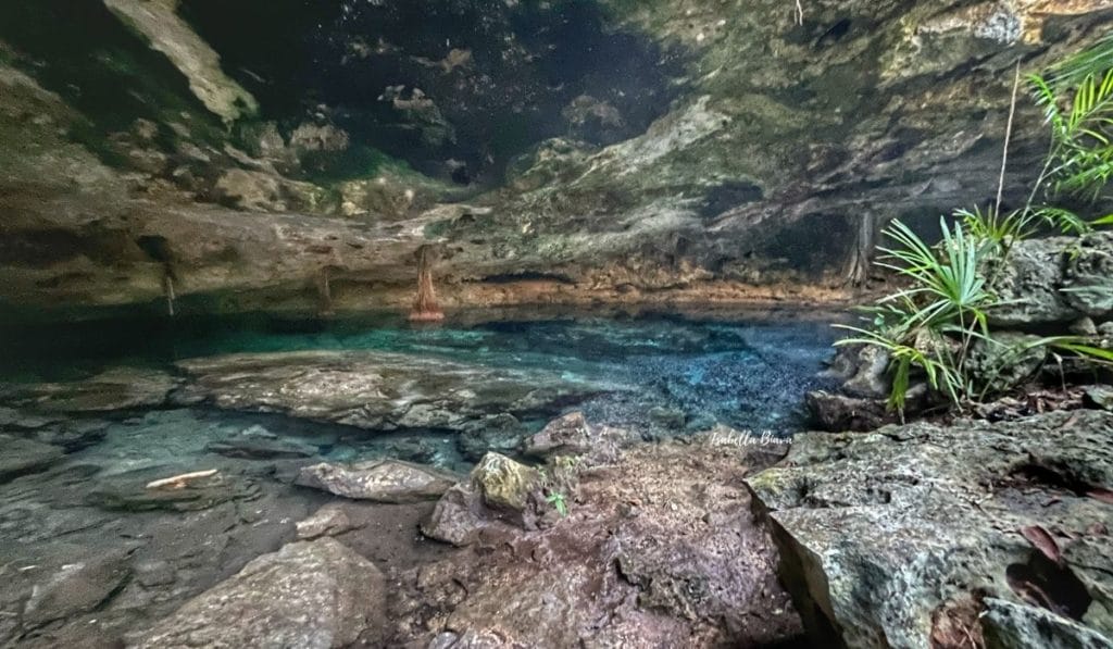 Cenote Chickin ha - cave cenote