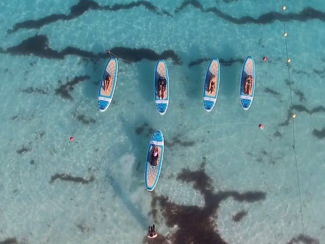 people doing yoga on paddleboards in the water