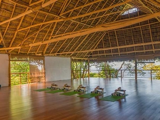 yoga shala in the jungle