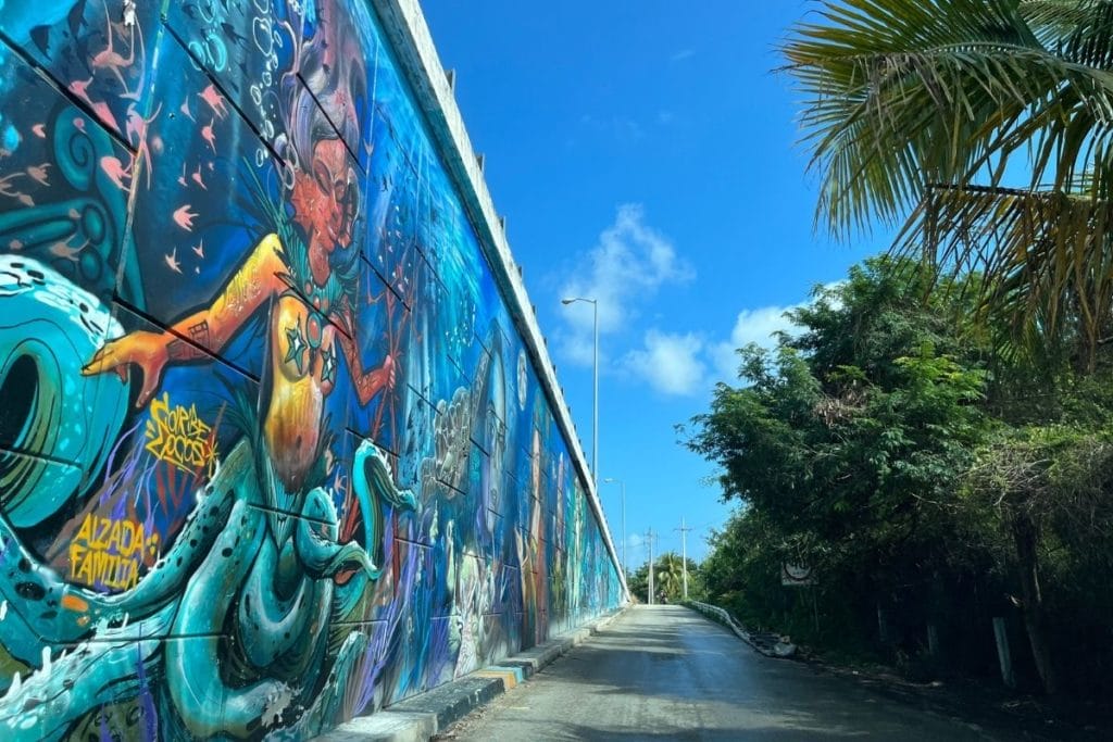 Akumal road