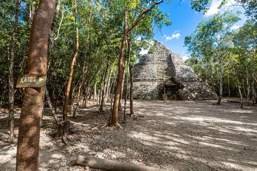 mayan ruins in the jungle