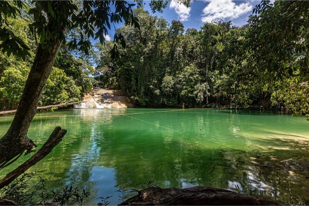 Waterfall surrounded by tropical jungle