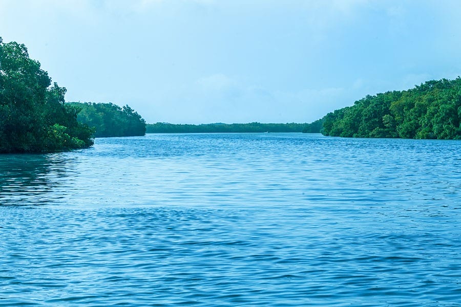 Rio Lagartos River