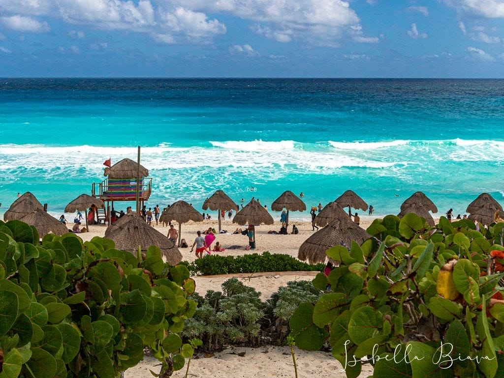 Playa delfines
