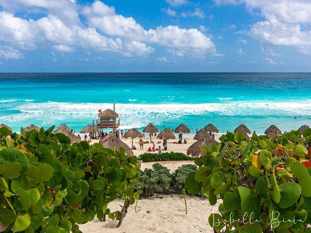 Playa delfines