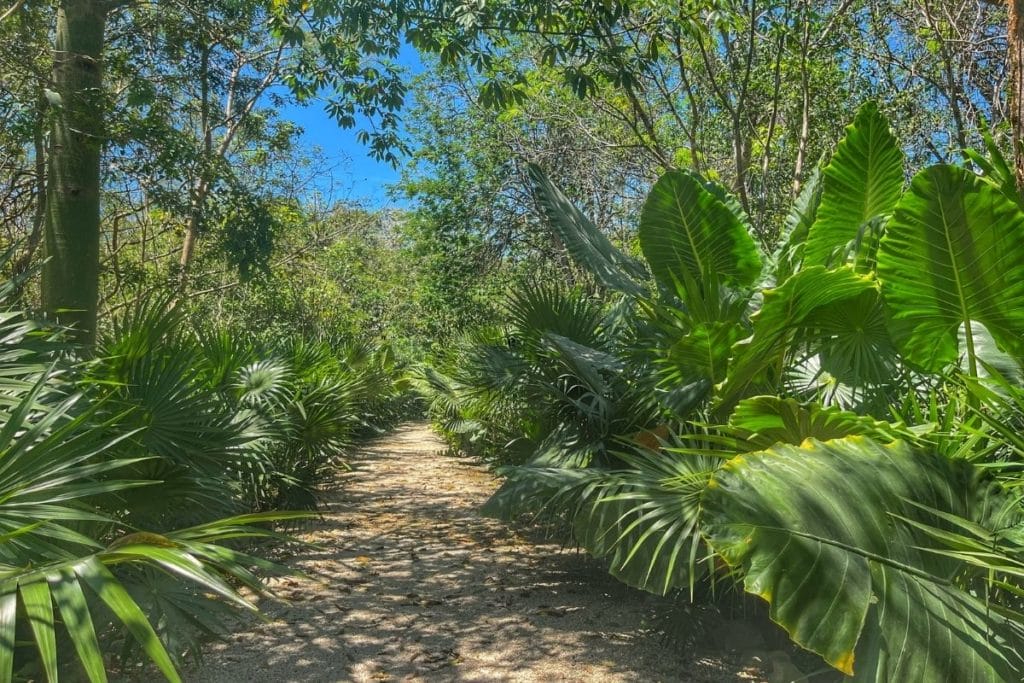 Tzukan cenote trail