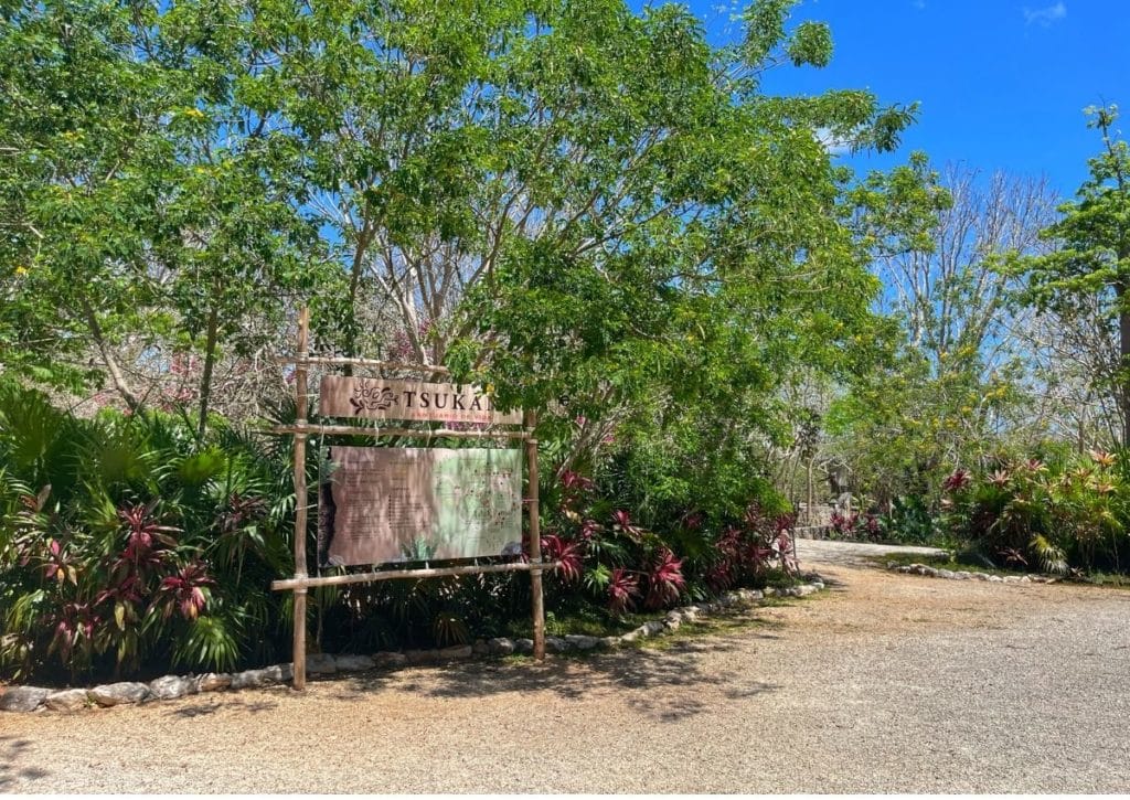 Tzukan Cenote Entrance