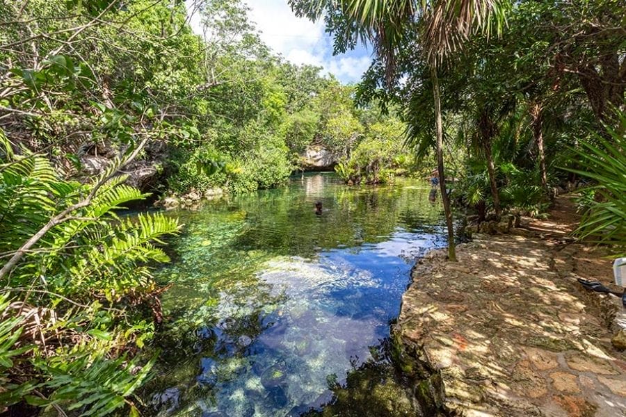 Cenote Azul Playa del Carmen