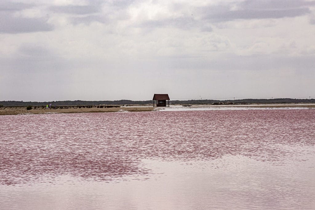 Las Coloradas lakes