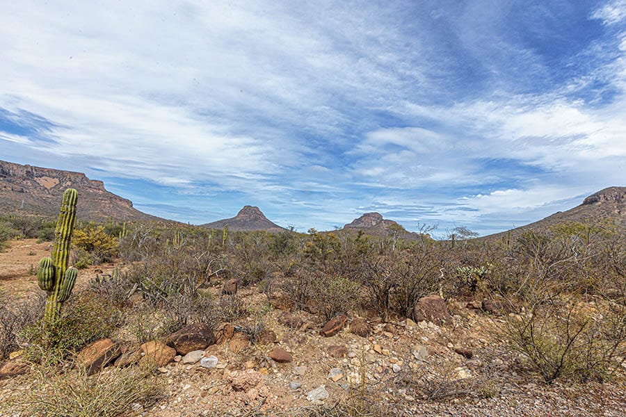 On the road in baja