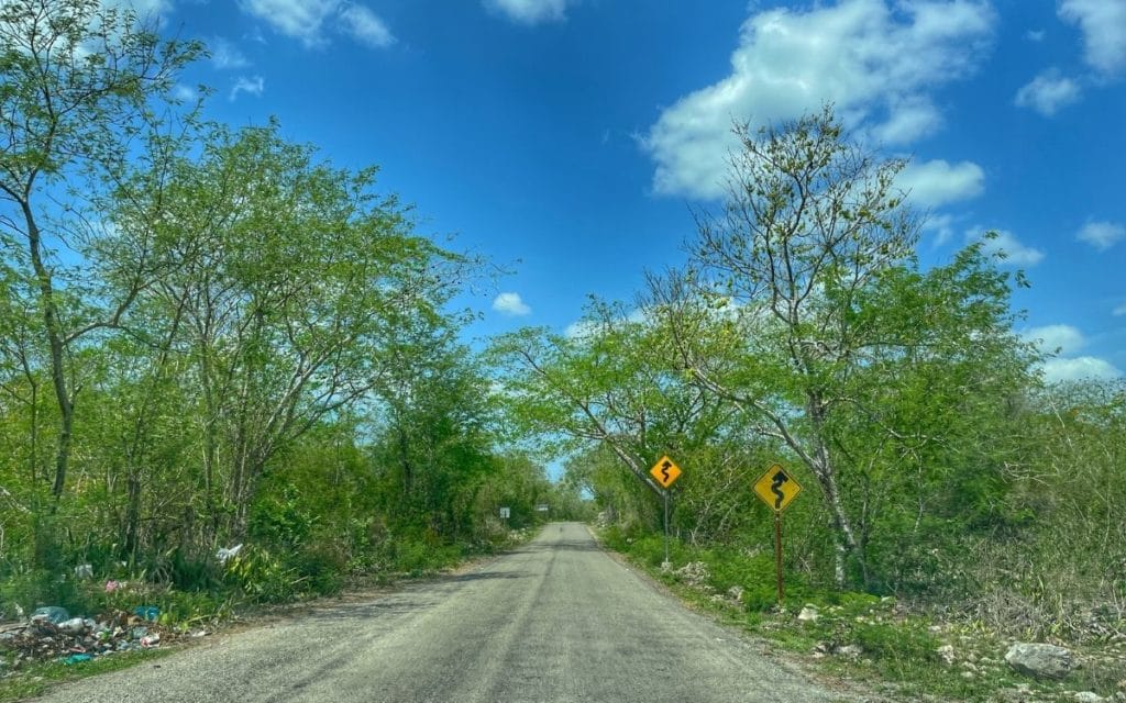 ROAD SIGNS YUCATAN