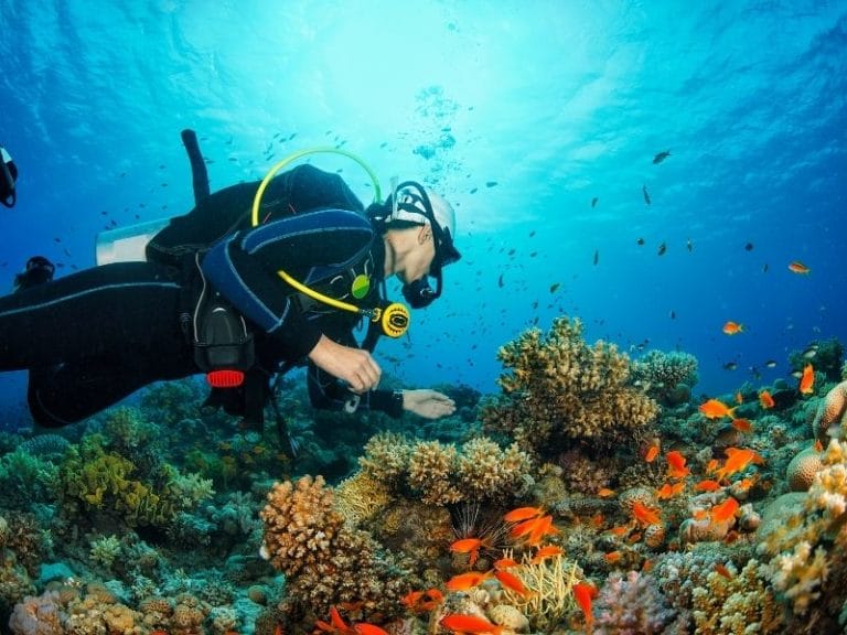 COZUMEL DIVER