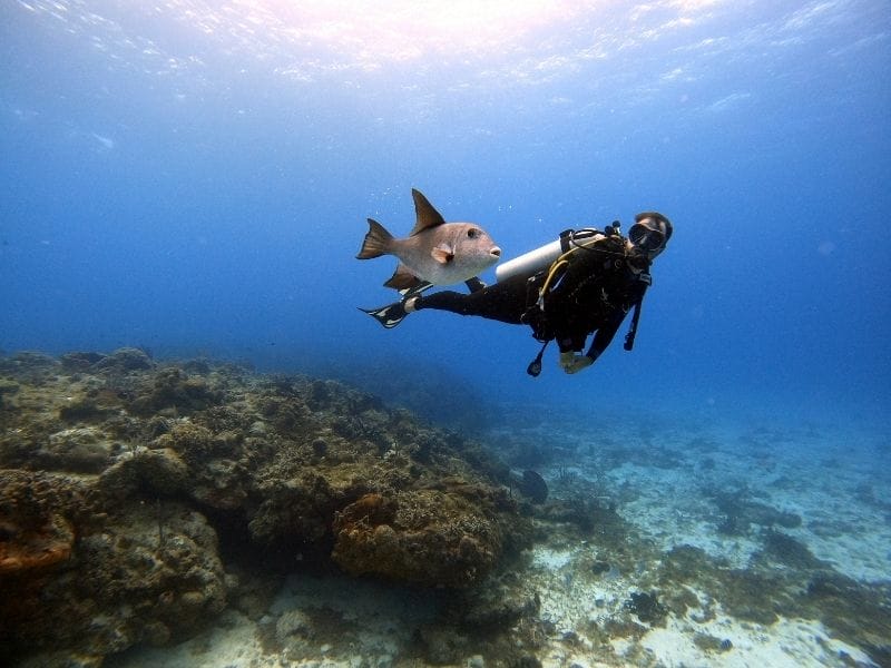 COZUMEL DIVER WITH FISH