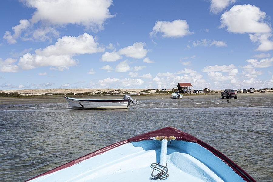 Guerrero Negro Whale watching 