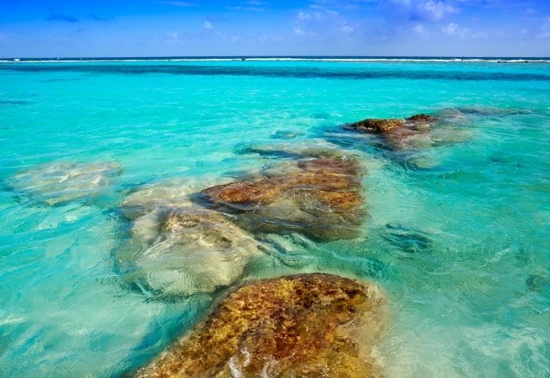 Mahahual snorkeling