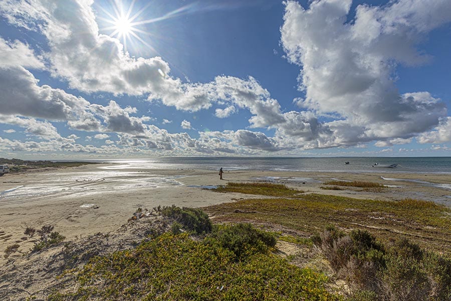 Guerrero Negro Lagoon 