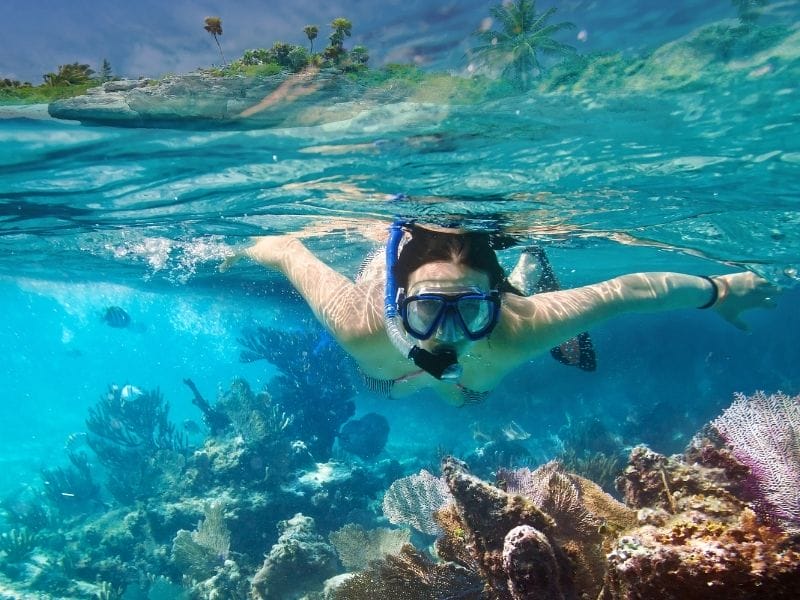 CATAMARAN REEF SAILING AND SNORKELING