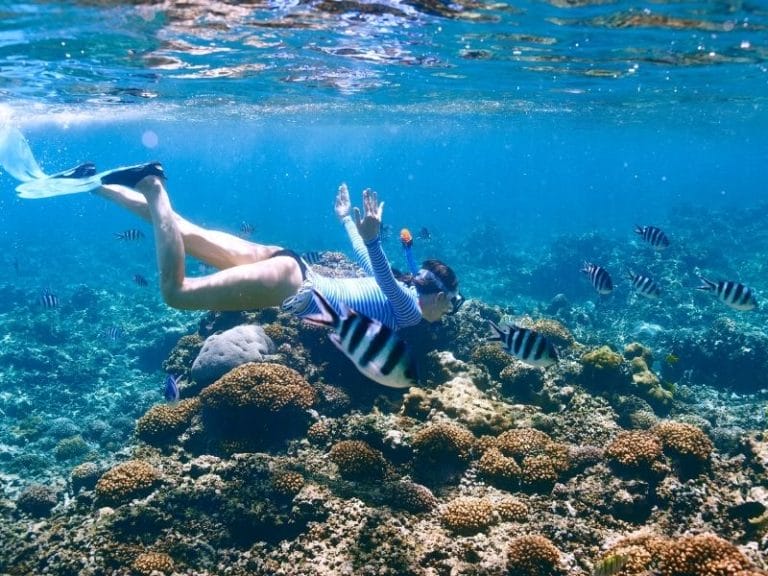 PUERTO MORELOS SNORKELING