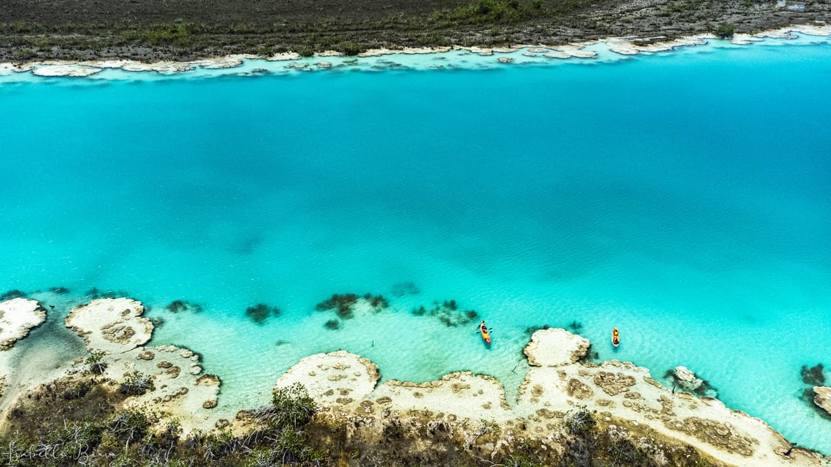 Bacalar los Rapidos Estromatolitos