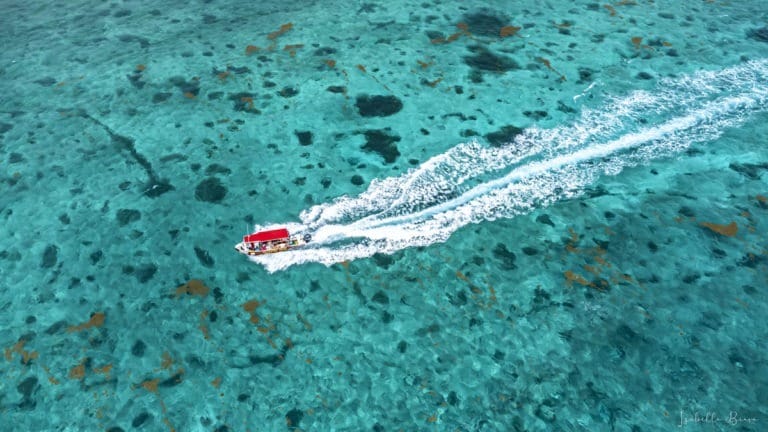 Cozumel boat in the middle of the sea