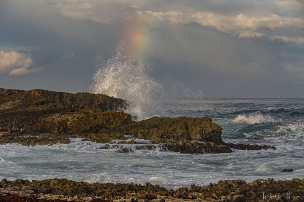 Cozumel Rainbow on the easty side