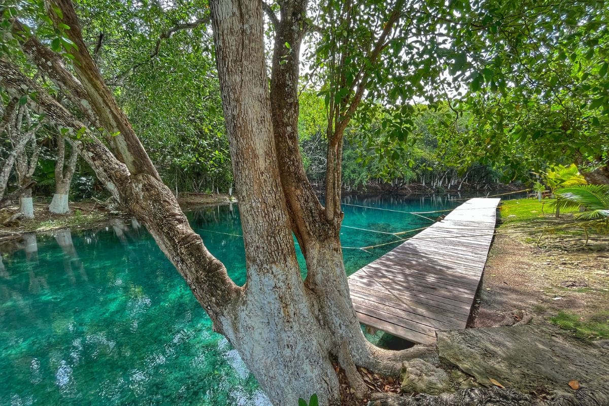 Lol Ha balneario water and tree