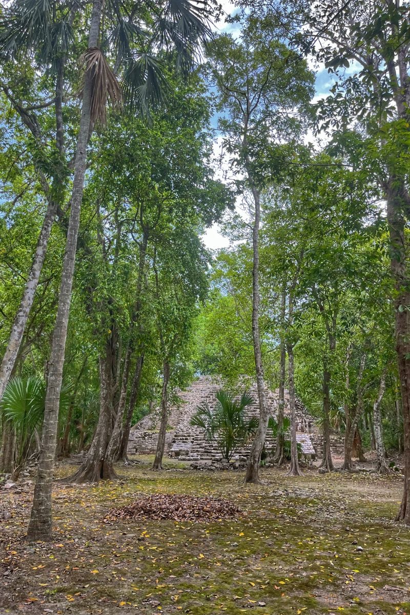 Oxtankah temple surrounded by trees