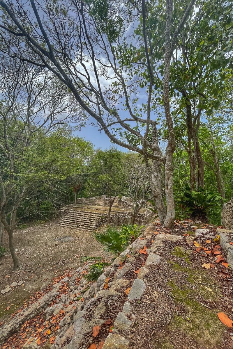 Oxtankah temple surrounded by trees