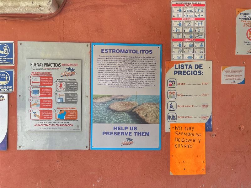 prices at los rapidos