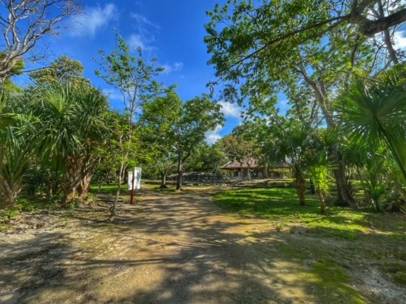 San Gervasio Mayan Ruins