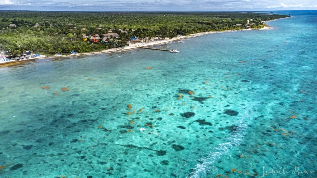 Cozumel Coast