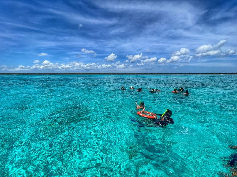 Cozumel snorkeling 