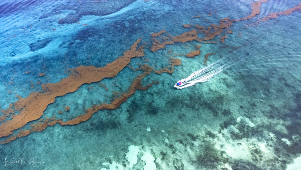 Cozumel ocean 