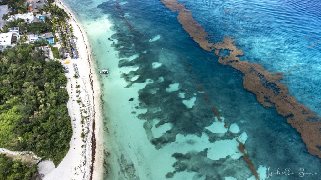 Cozumel drone beach boat