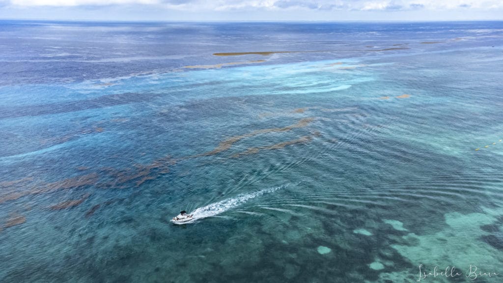 Cozumel drone view open water