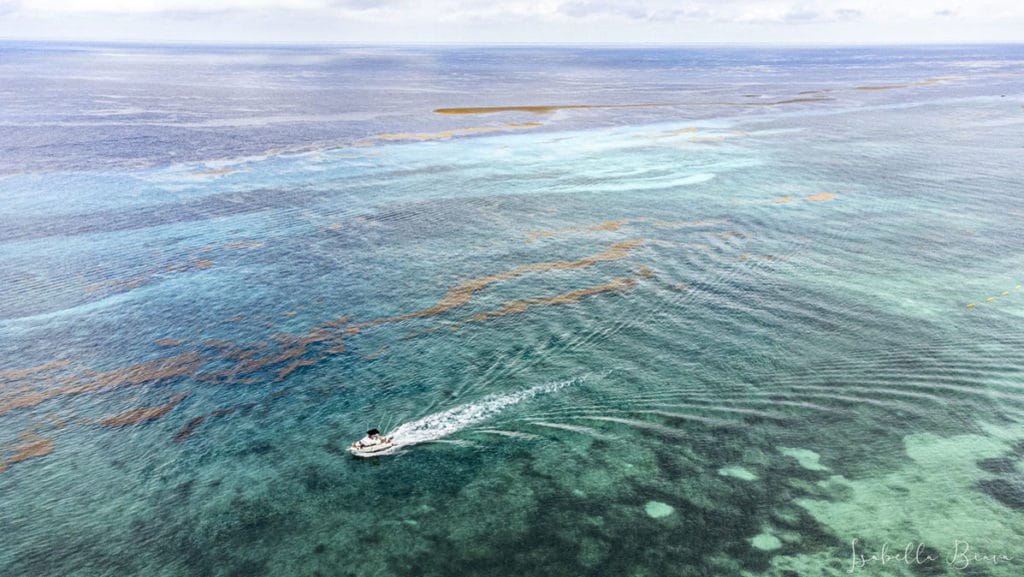 Cozumel aerial boat ocean