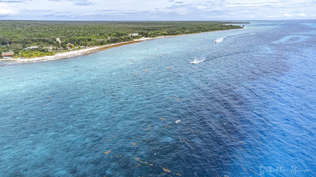 Cozumel coast aerial view - things to do in cozumel