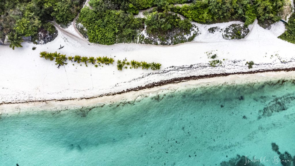 Cozumel coastline pattern
