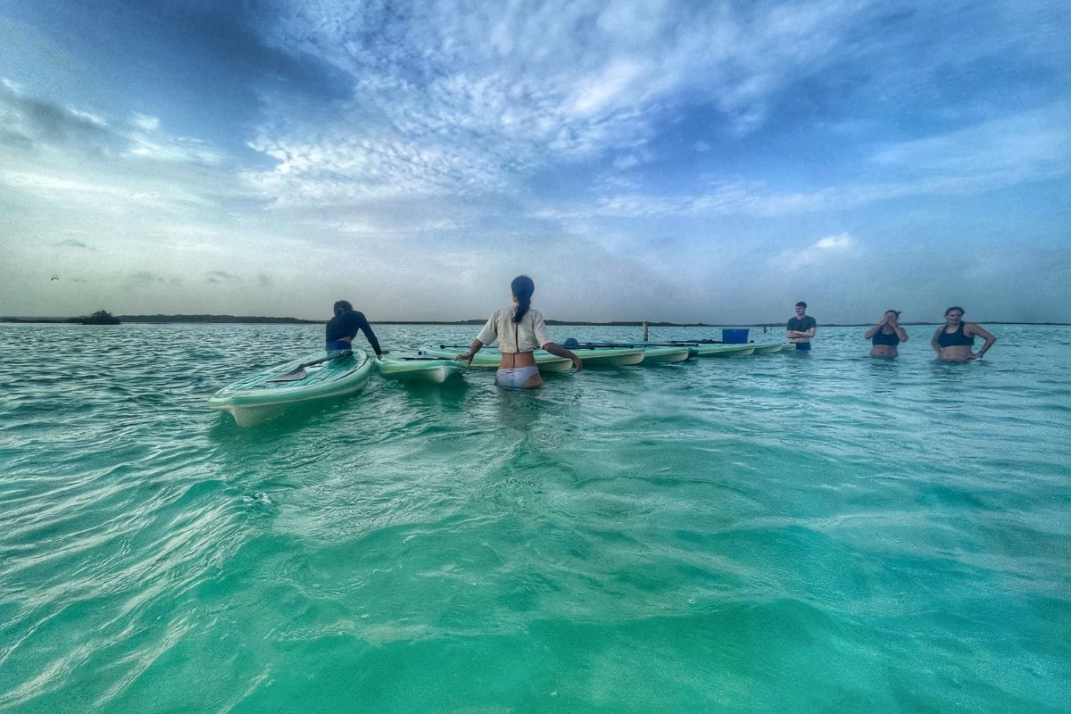 Paddleboarding tour group