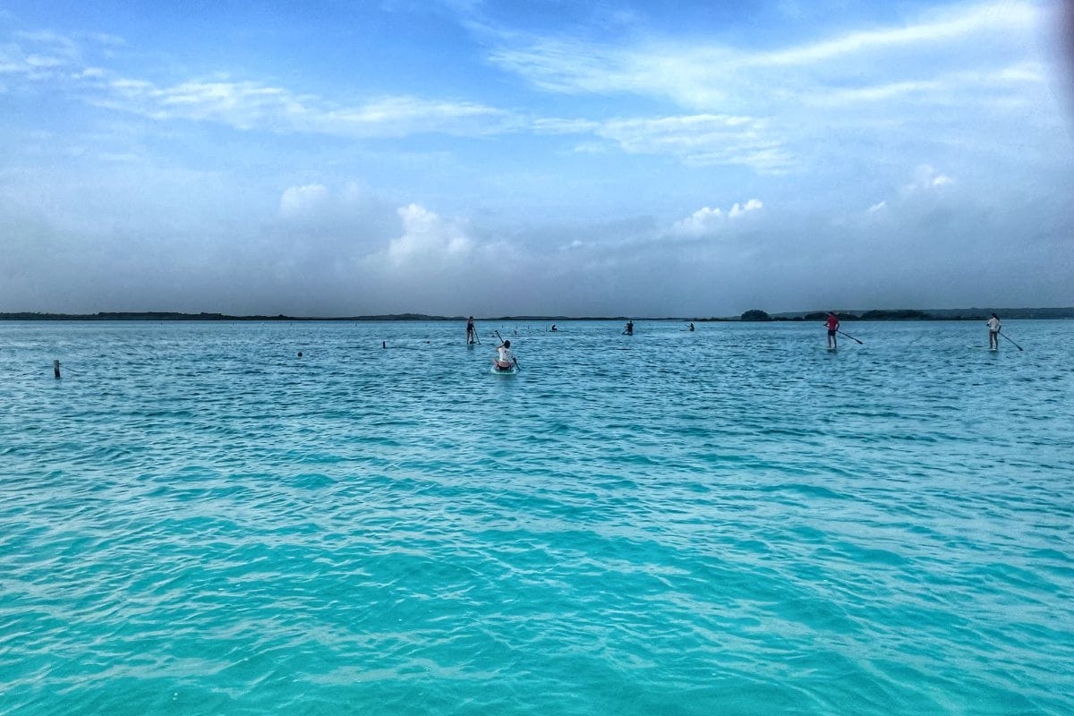 paddleboarding tour in Bacalar at sunrise 