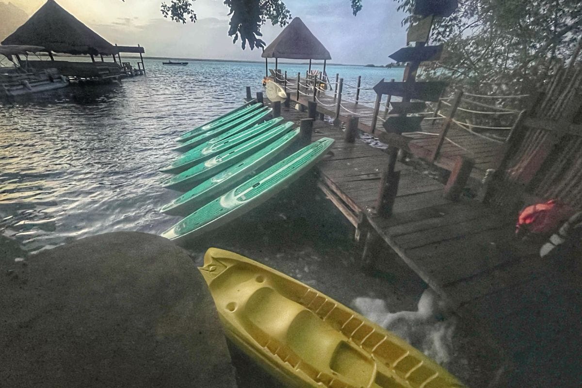 paddleboard lined up on the pier ready for the tour