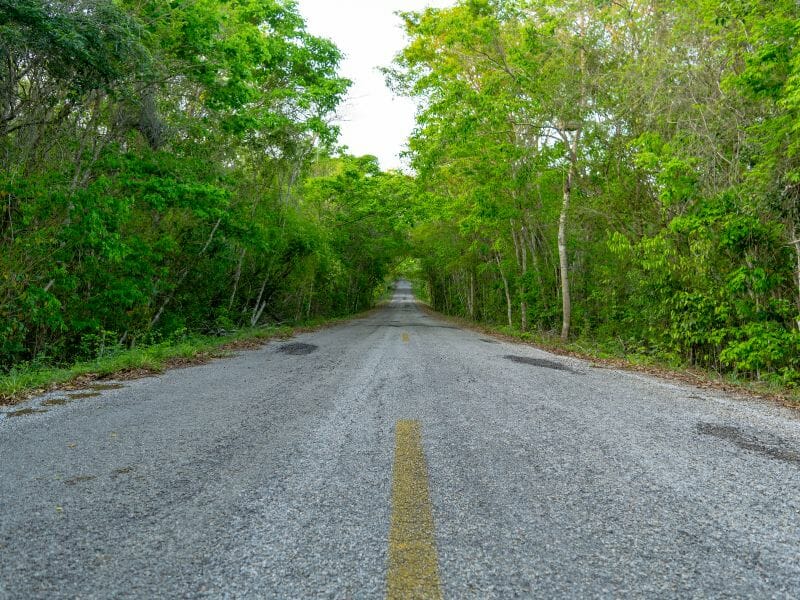 Calakmul road