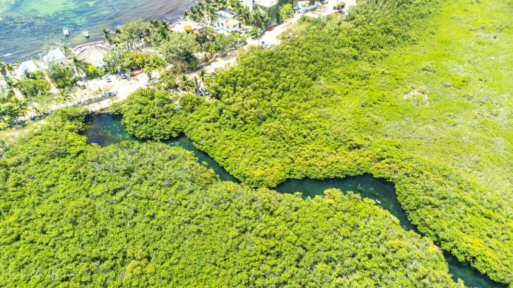 Casa Cenote Aerial view