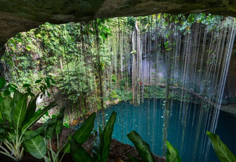 Mexico Cenote - Cave diving in Mexico 