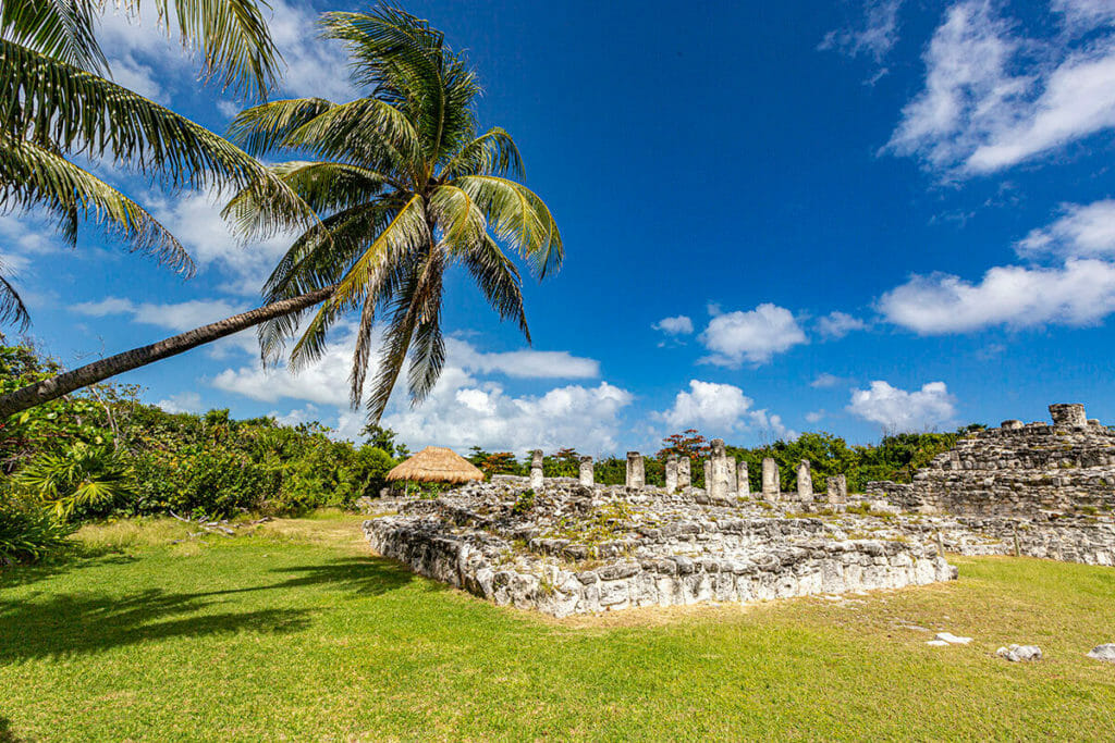 El Rey Mayan Ruins Cancun Palm