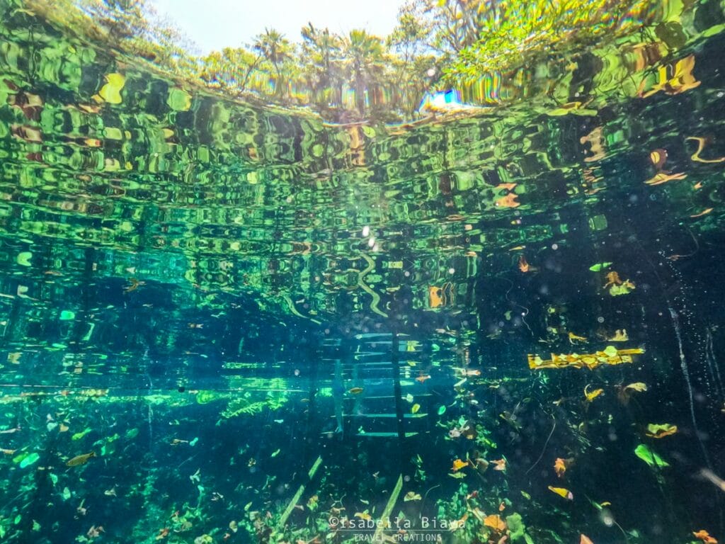 underwater emerald green water in a cenote in the riviera maya